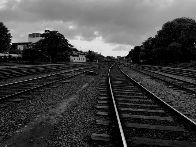 Black and white road to choose from