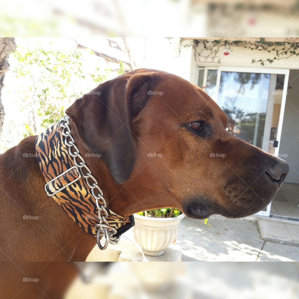 I'm not looking at the camera right when you need them to making them lazy models