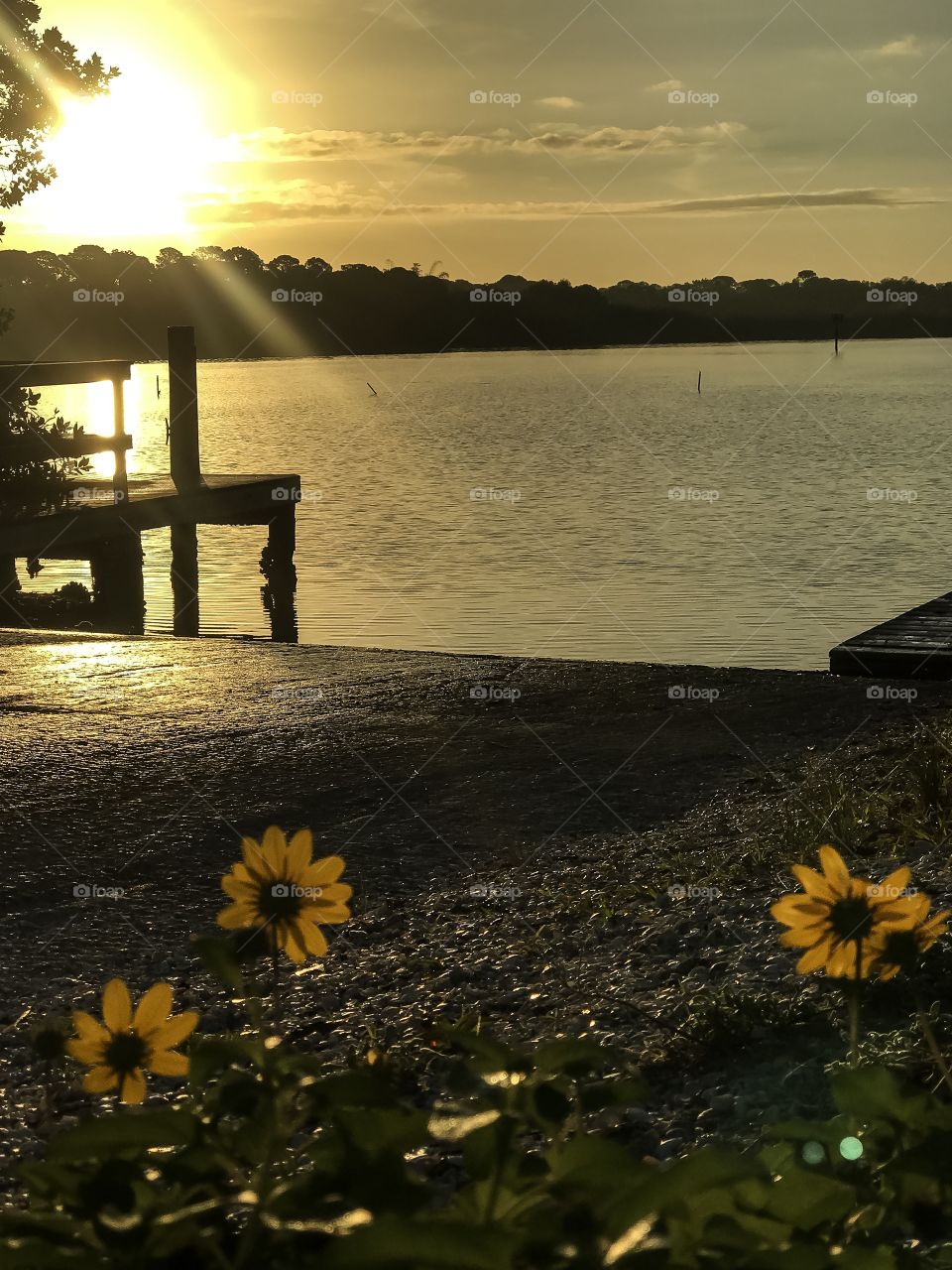 Sunrise at the pier 