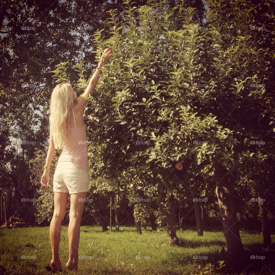 Picking an apple