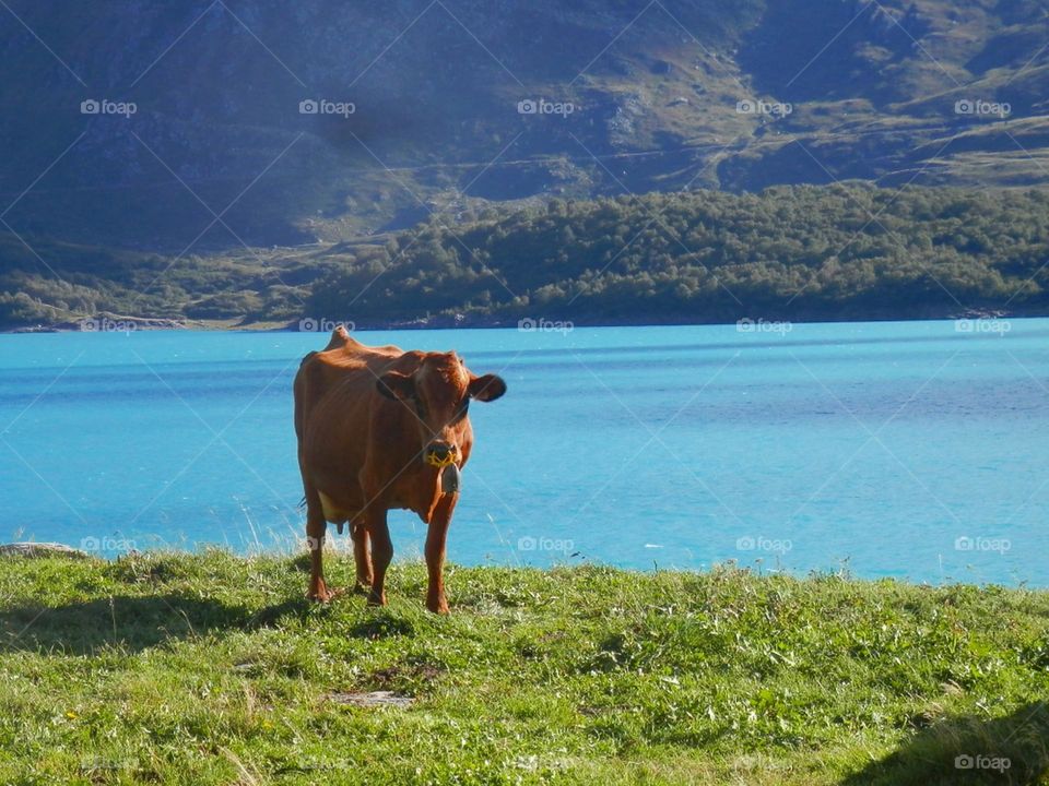 Best of 2021: Nature 