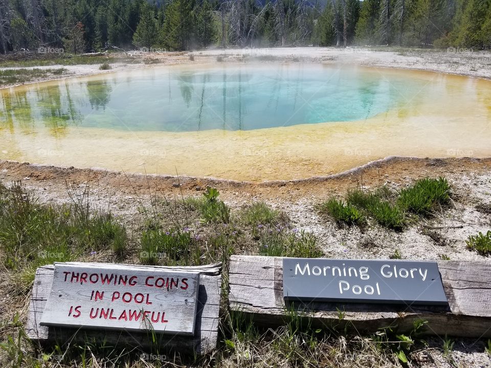Yellowstone_Morning Glory Pool #4