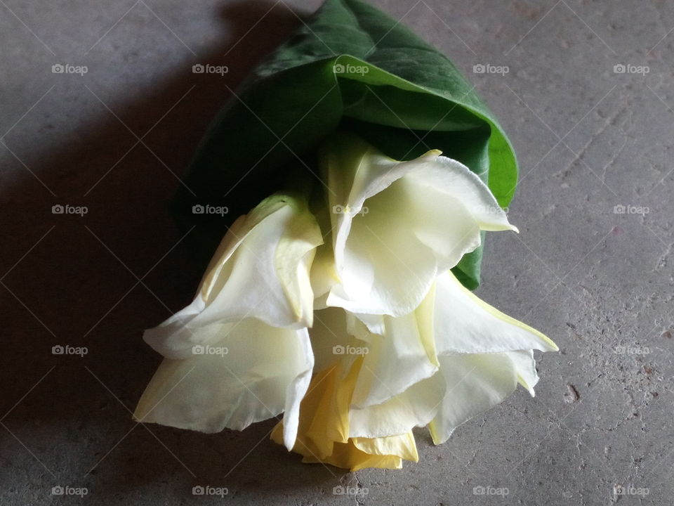 beautiful nature beauty image and water fall