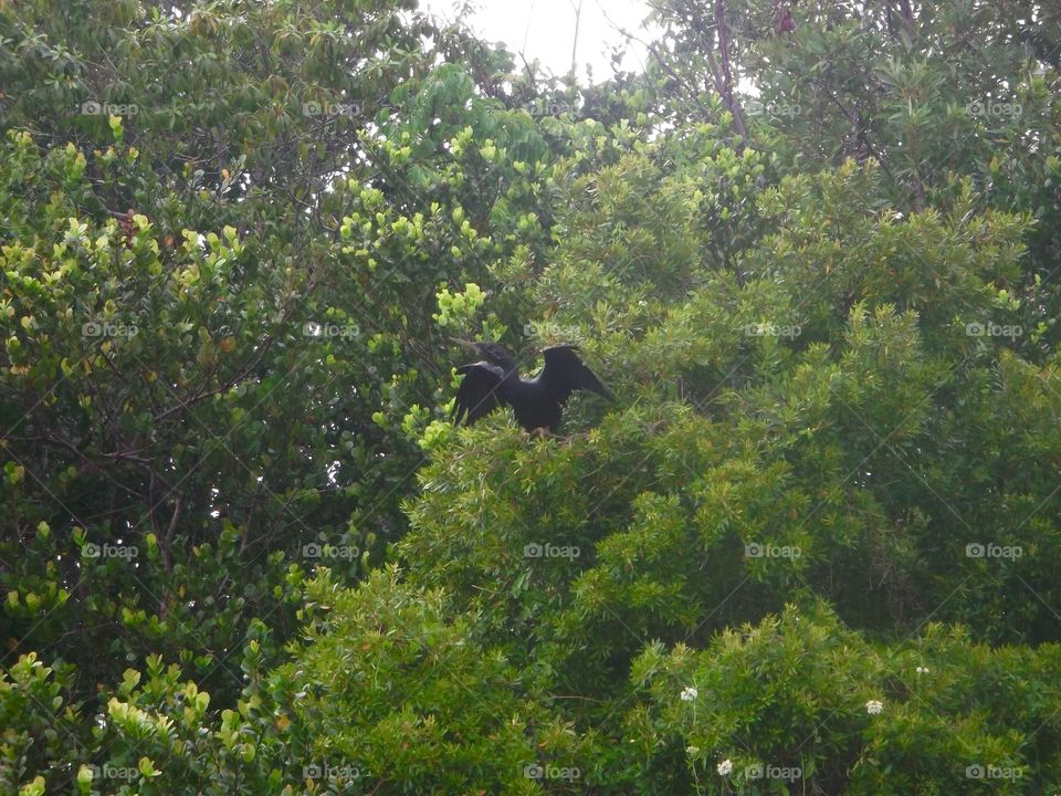 Travel in Florida 