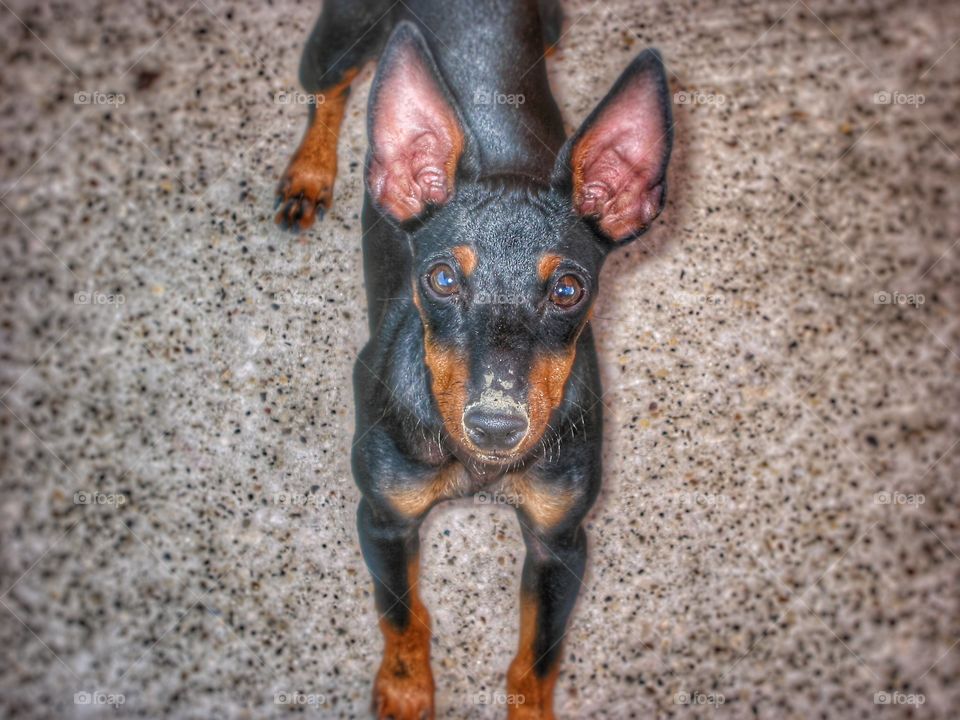 Hello there, sweetness 