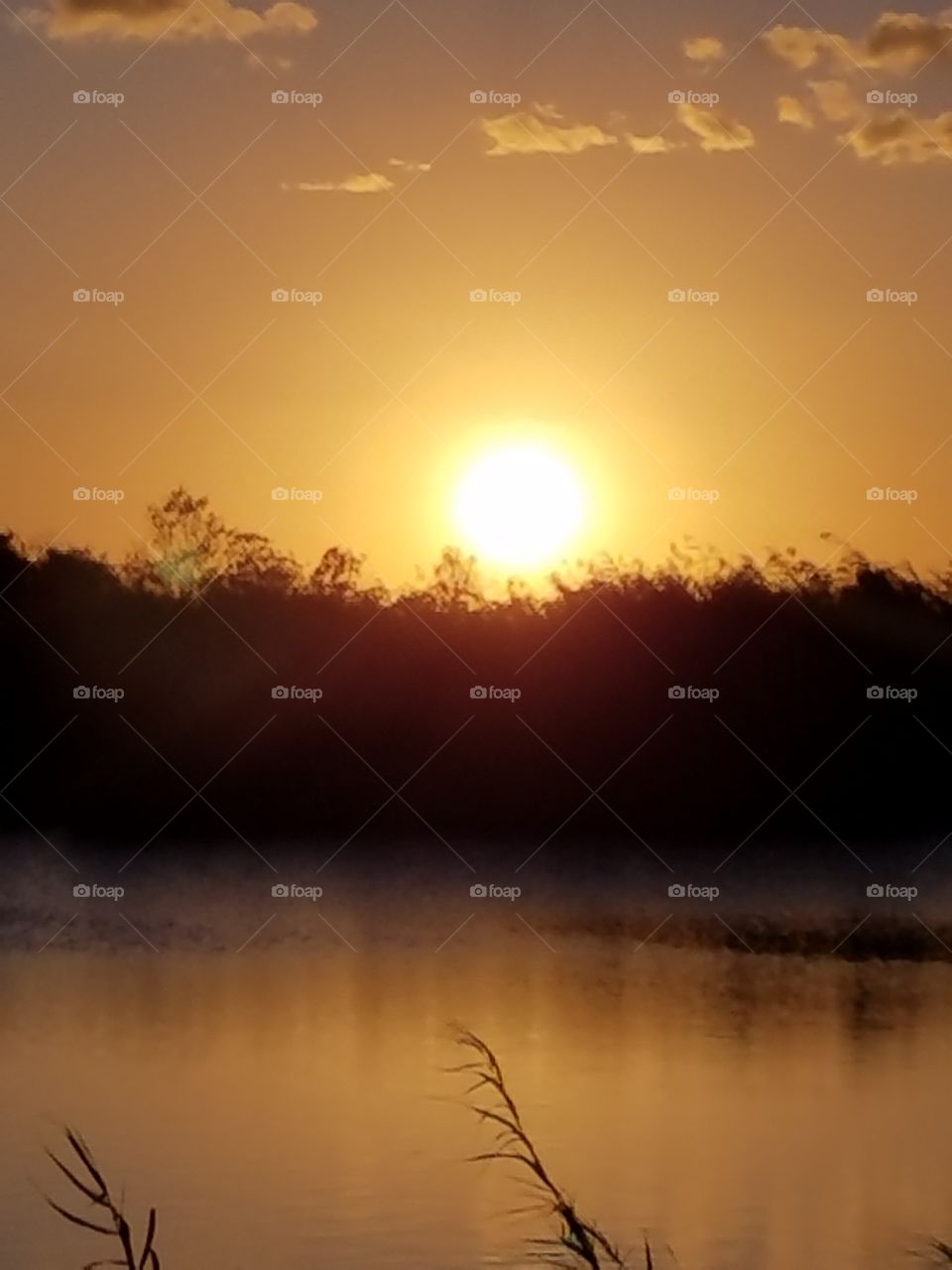 Sunset in the Everglades