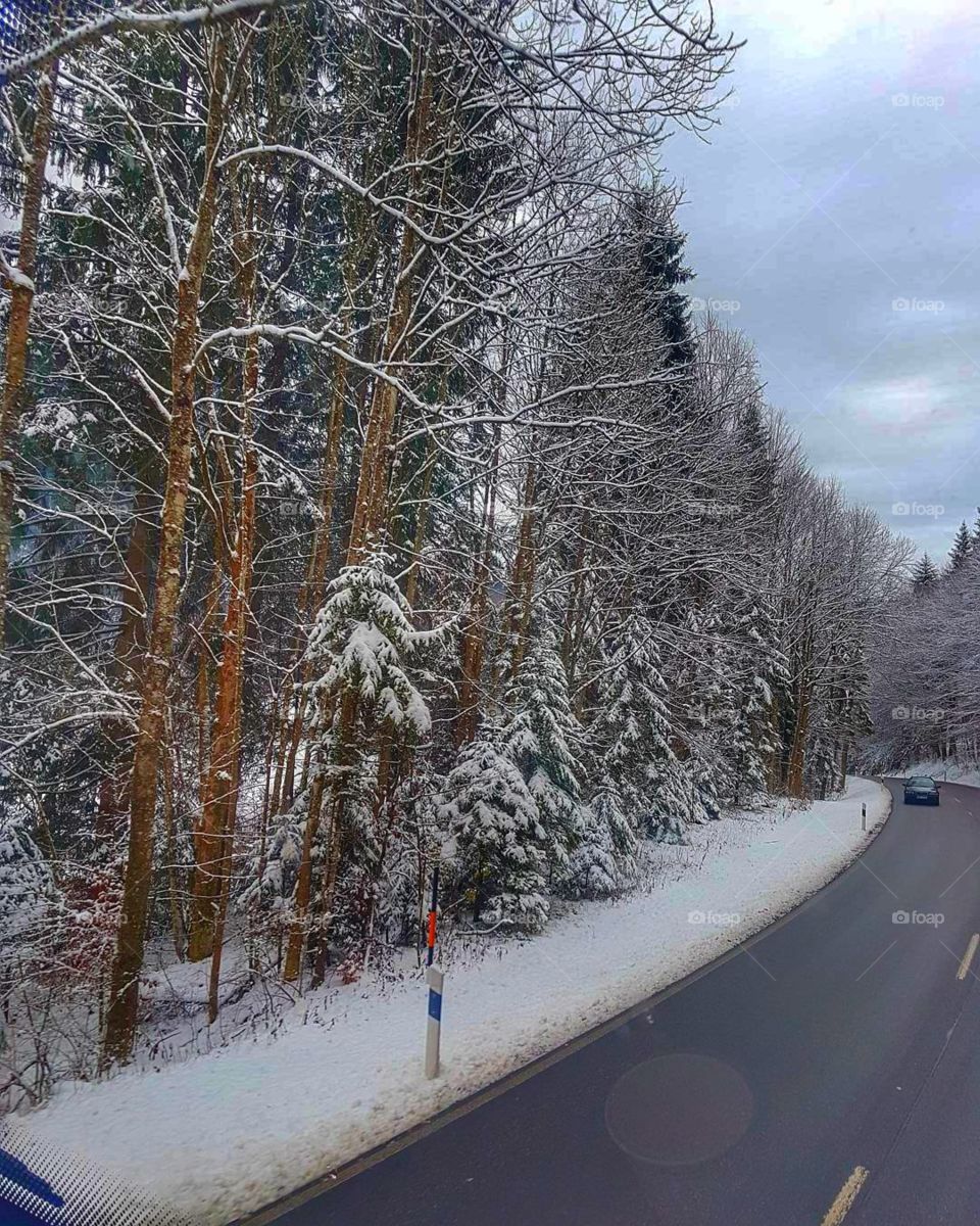 road estrada gelo ice