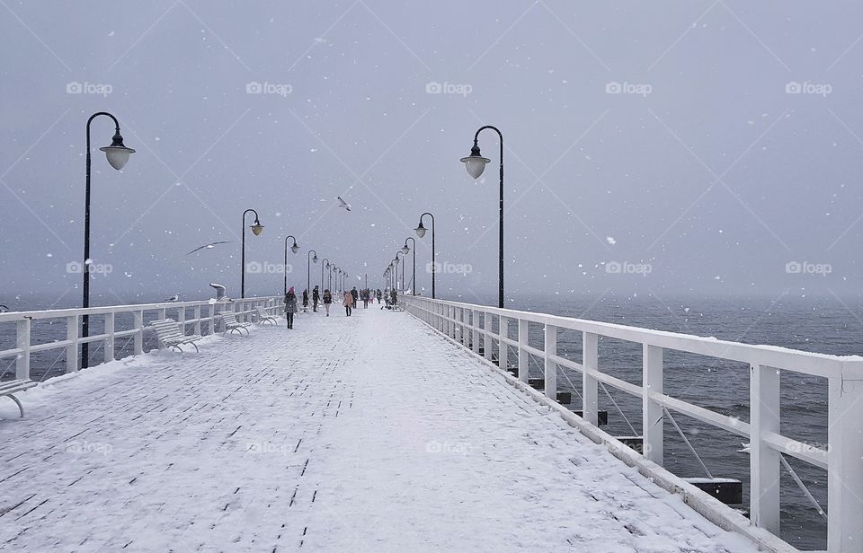 Winter, Snow, Landscape, Water, Weather