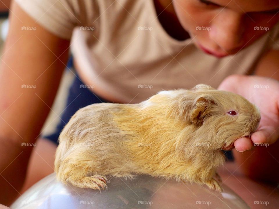 Girl with her guinea pig
