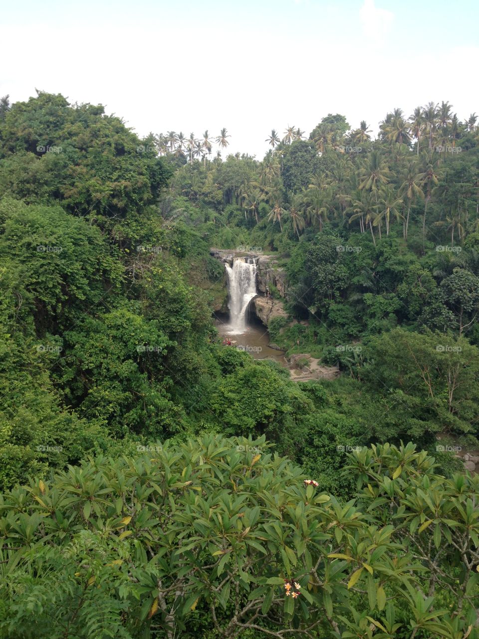 #water #waterfall #nature #foap #instagram