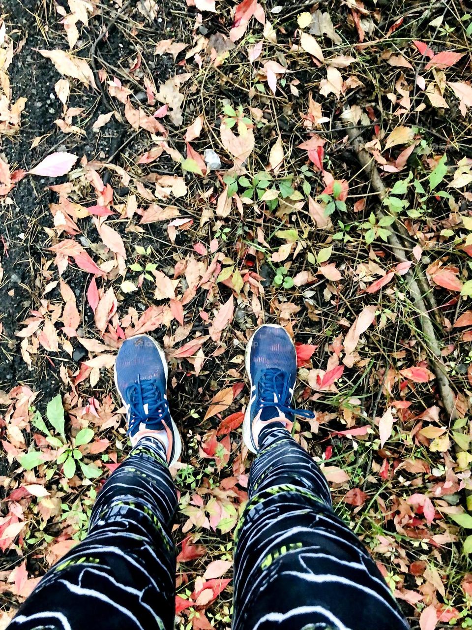 Running in a forest