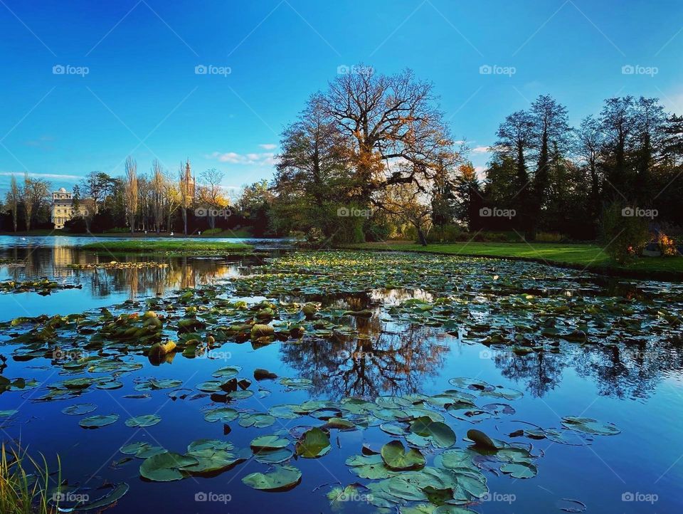 Little lake in a public park area
