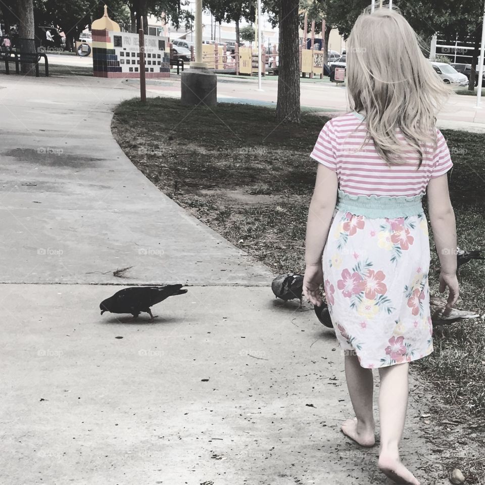 Little girl walking with the birds in the park.