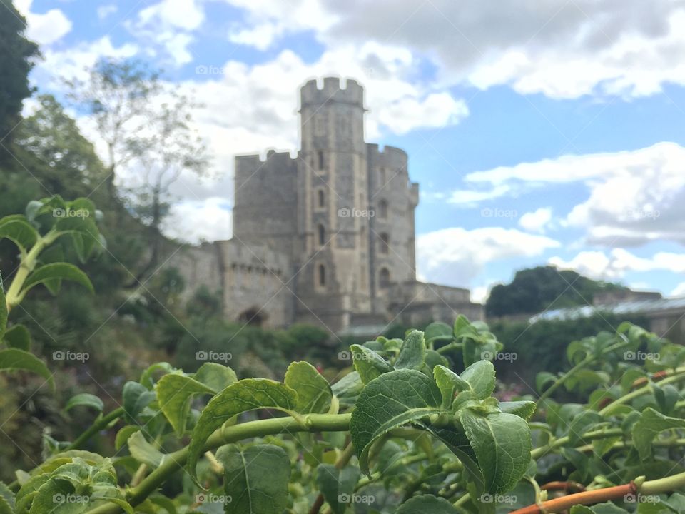 Windsor Castle