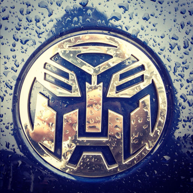 bus water beetle dew by shanna.roast