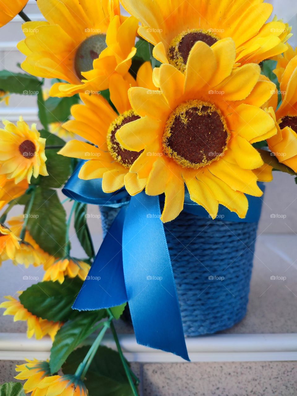 Complementary Colors, Flower Pot