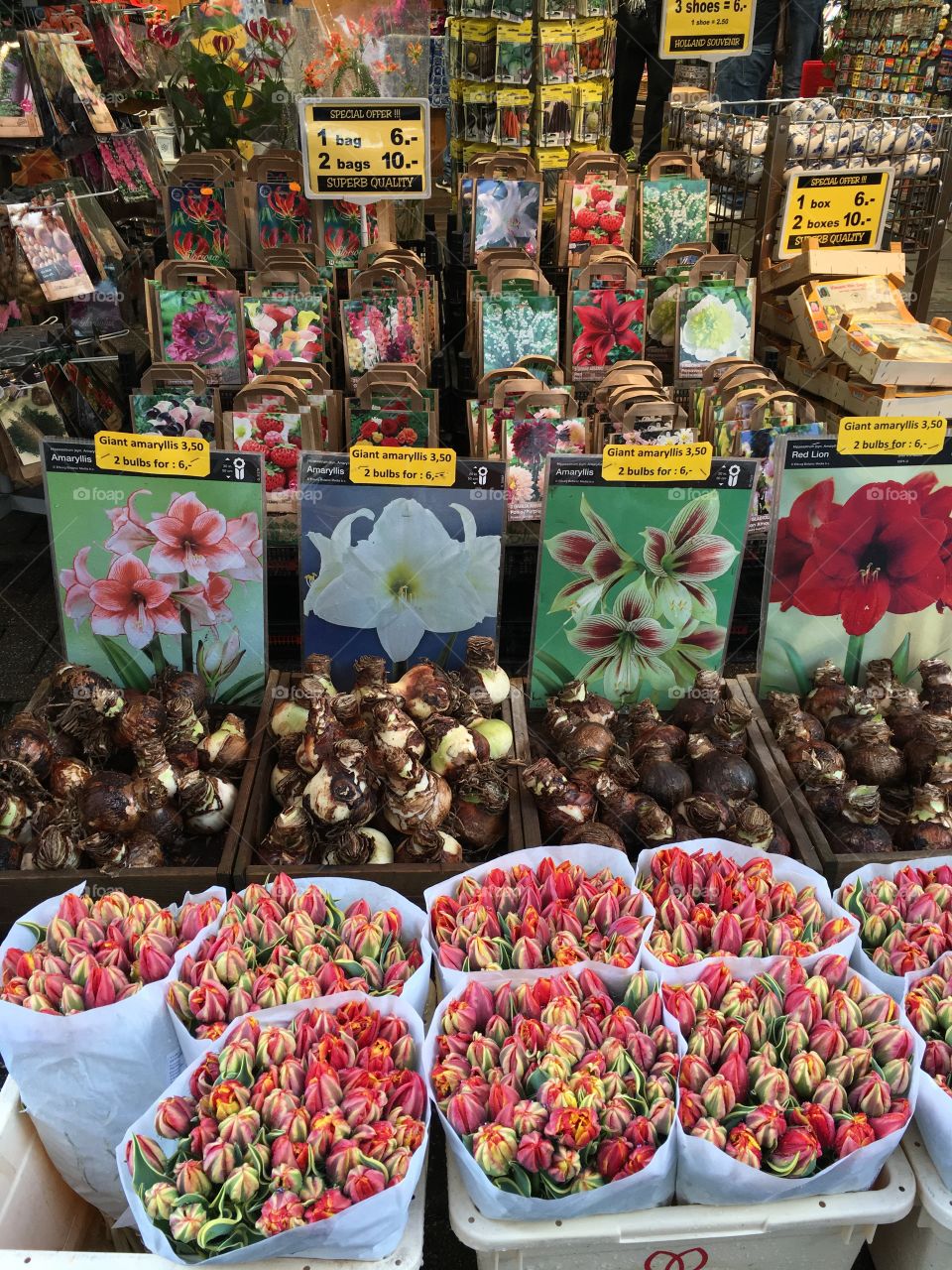 Flower Market in Amsterdam.