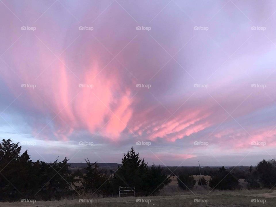 Pink cloud streaks