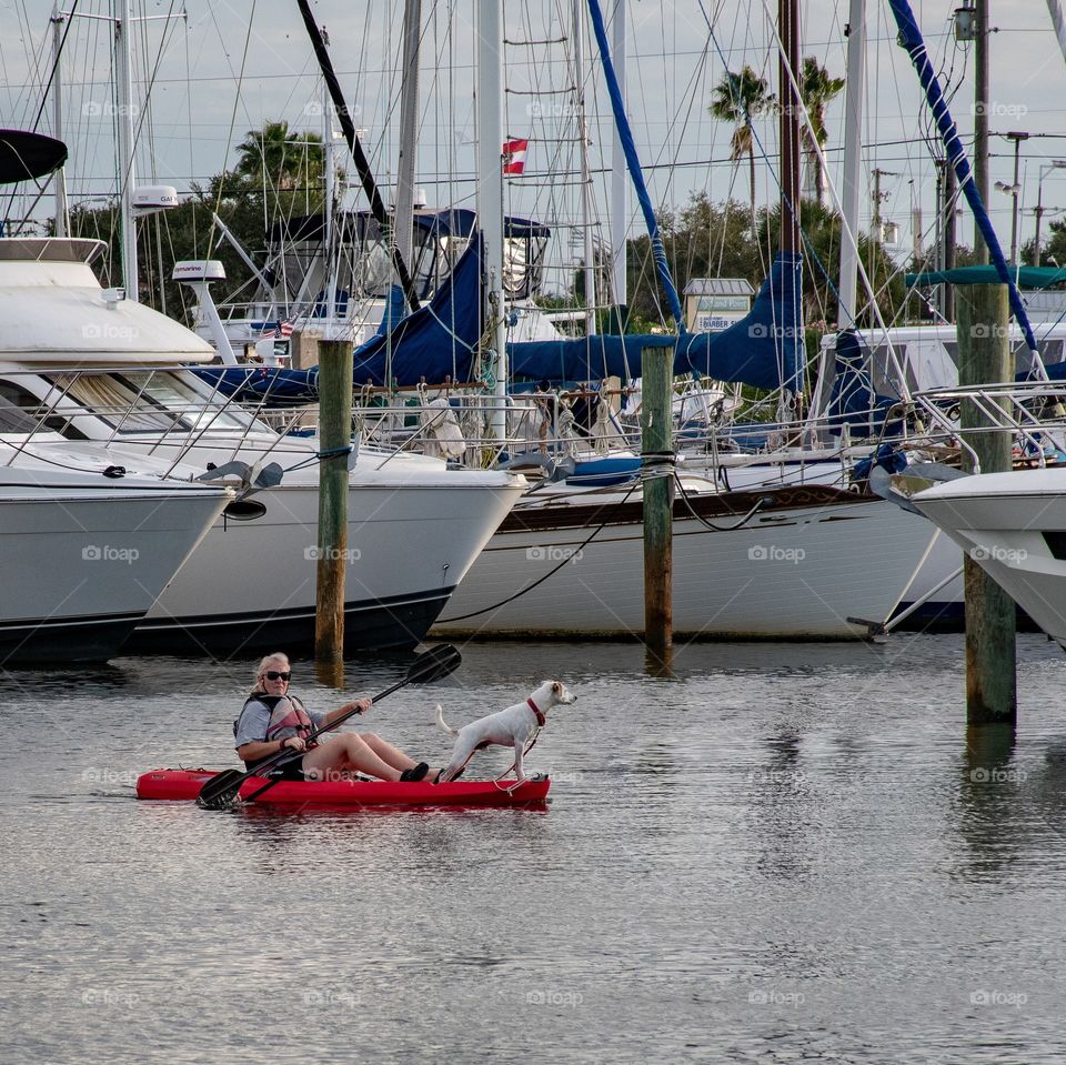Kayaking with a dog