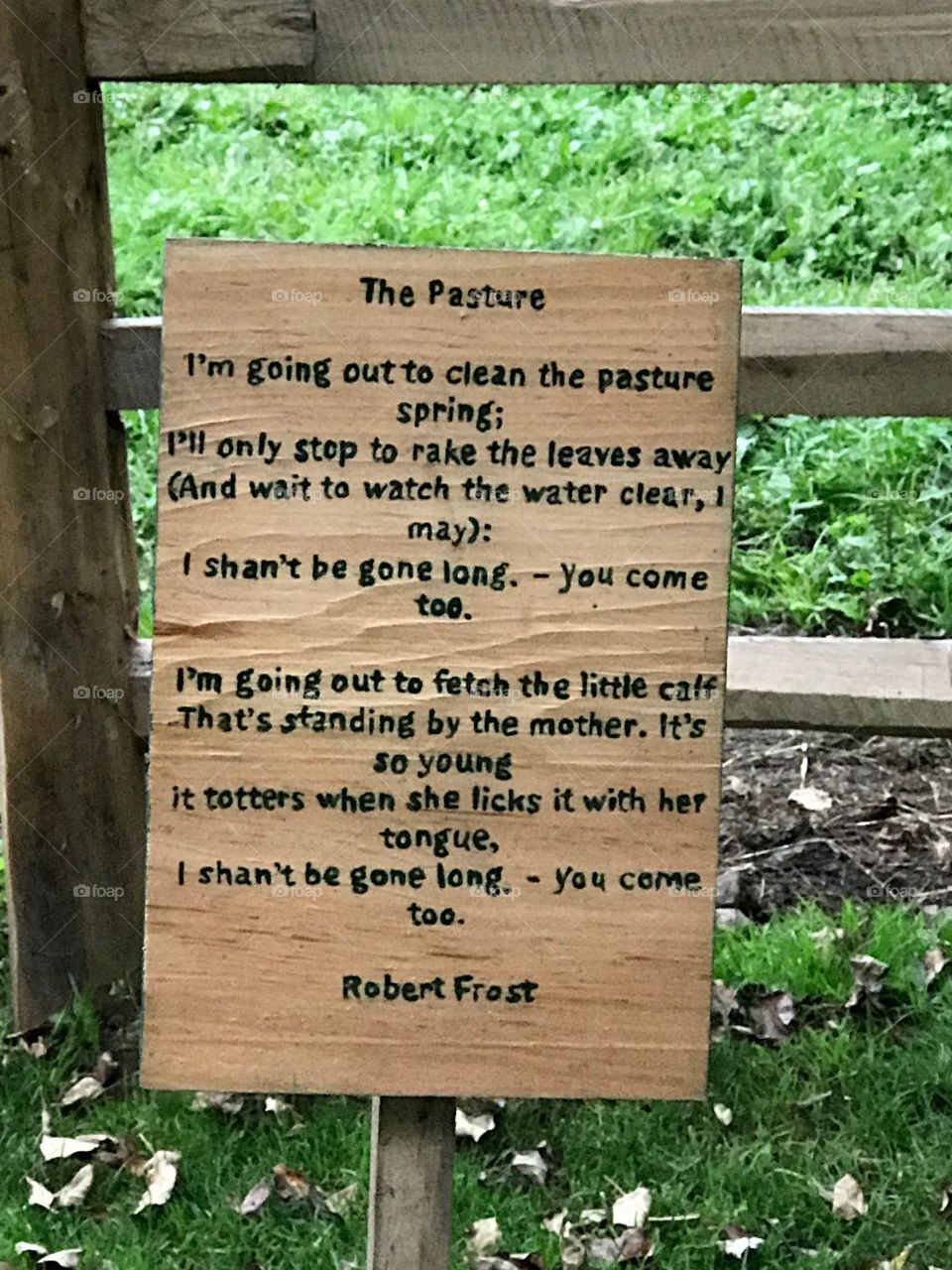 Poem in woods