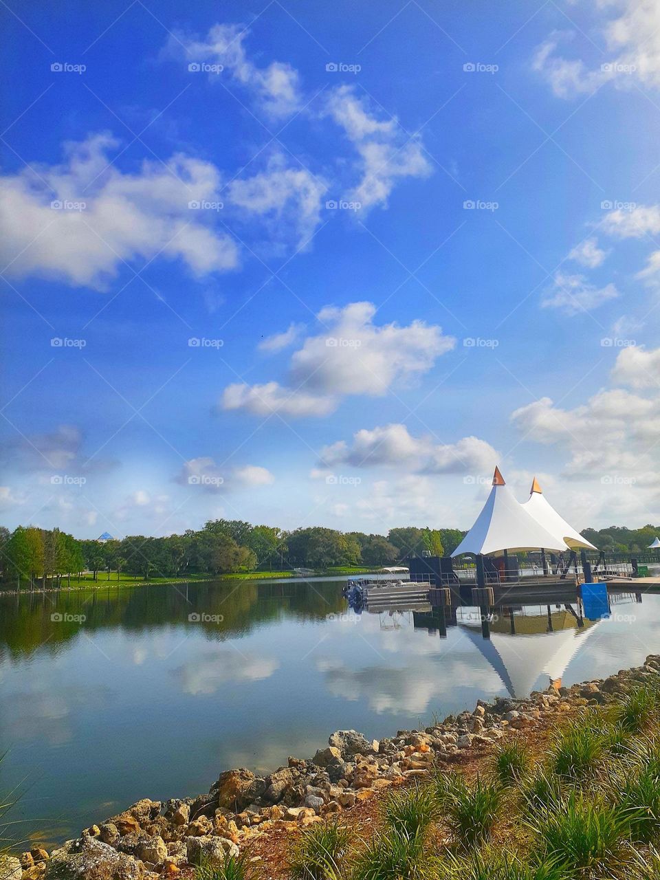 A beautiful and serene landscape of Cranes Roost Park in Altamonte Springs, Florida.