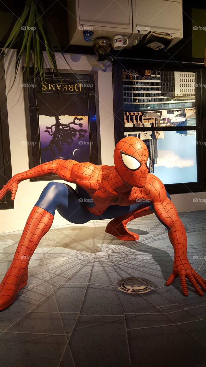 People, Competition, One, Adult, Exhibition