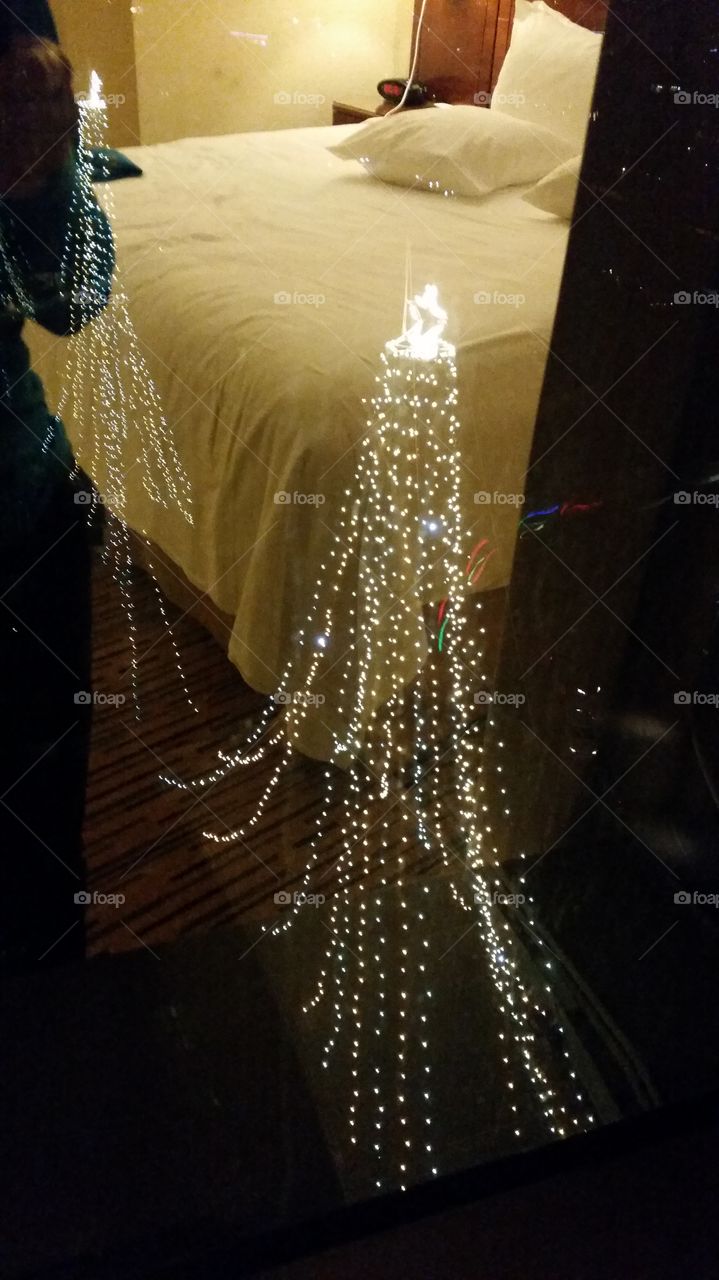 Sparkling tree at hotel. Saw this from balcony in San Diego