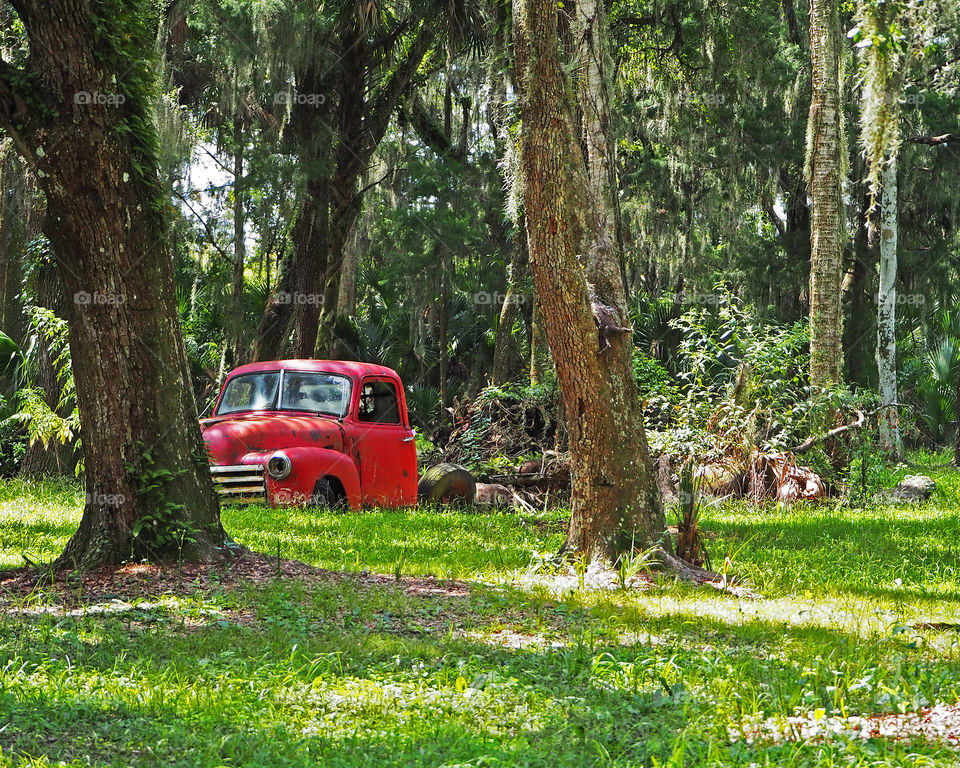 Old red truck 