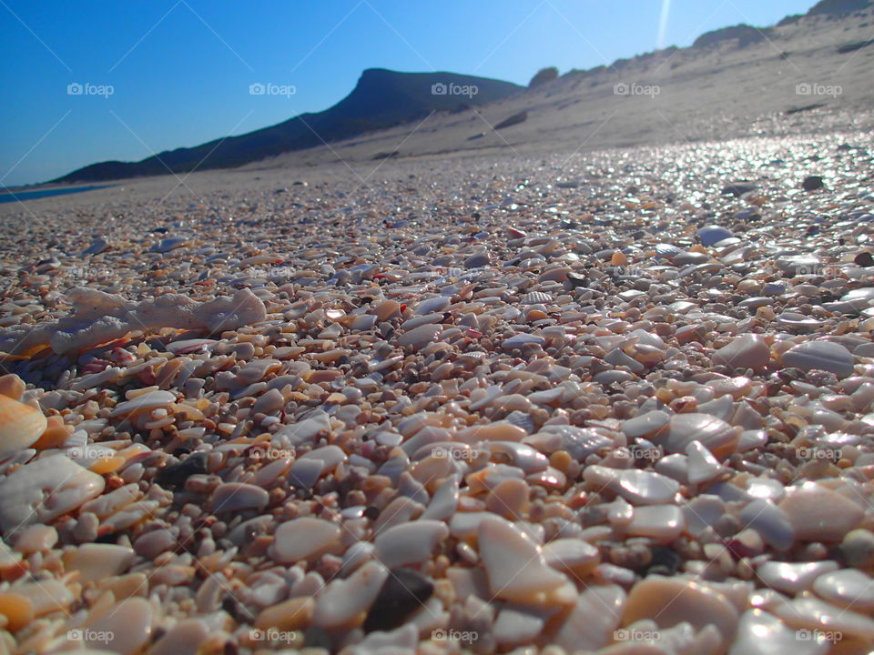 Miles of sea shells