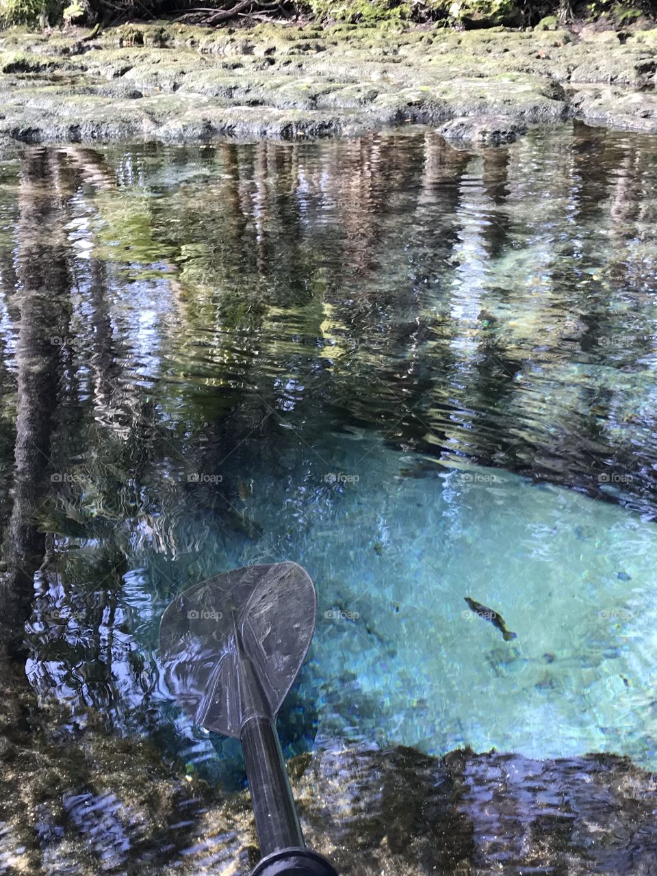 While paddling found underground springs feeding crystal clear river. 