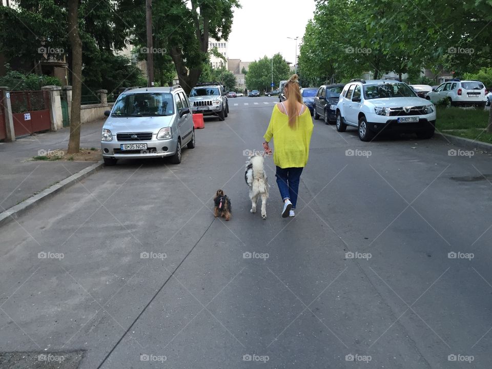 A girl walking  two dogs