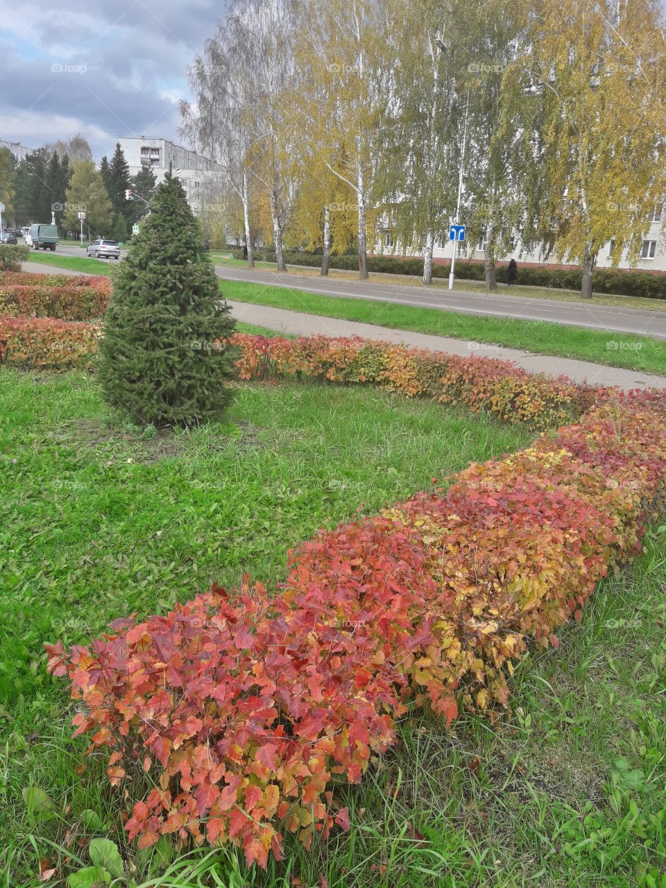 Осенний ландшафт городка