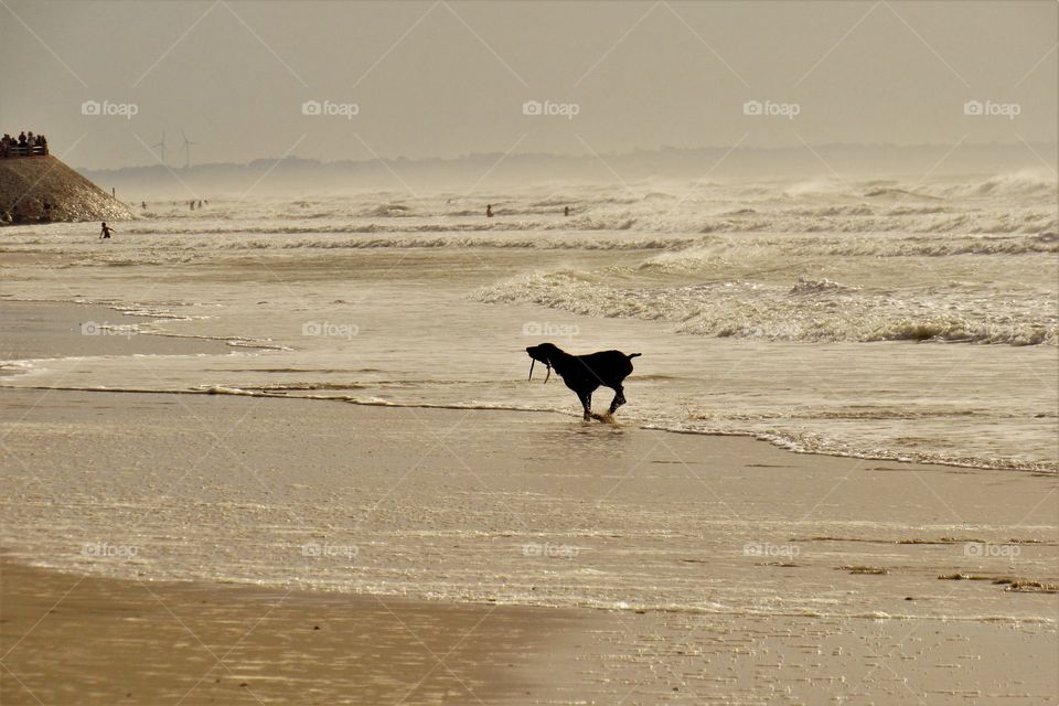 On the beach