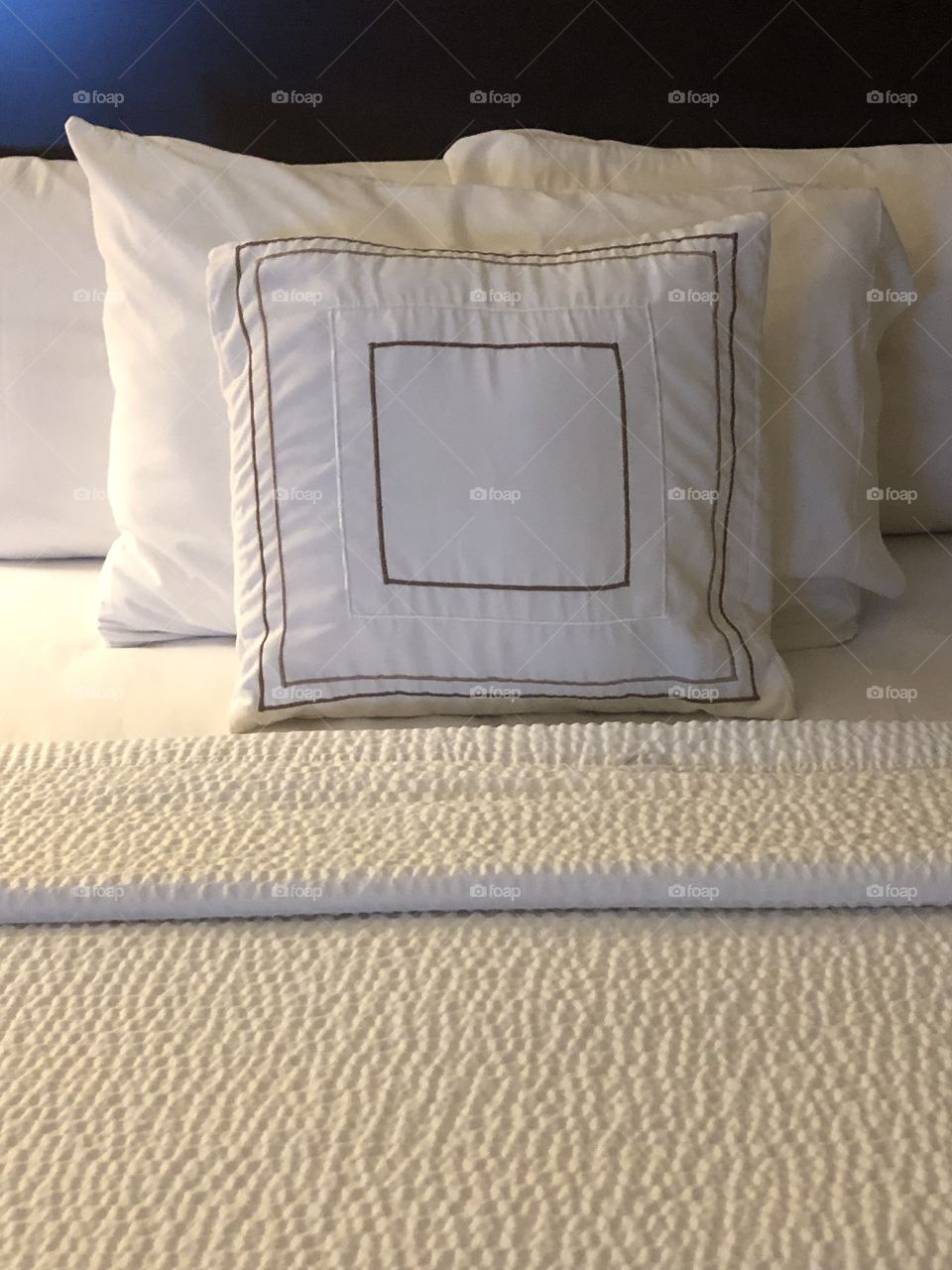 Hotel Pillows