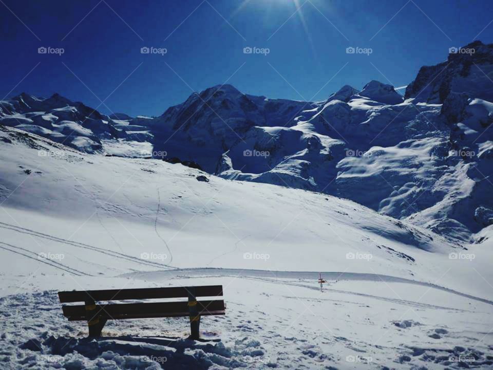 THIS IS BEAUTIFUL! !