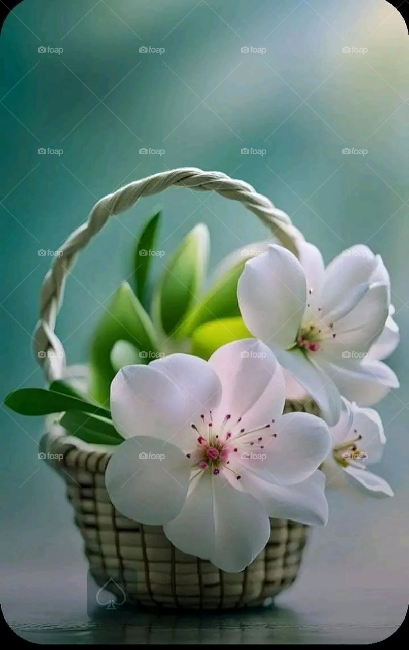 A very beautiful picture, and there is no better picture than it. There is no better picture of green herbs and colorful, red and white roses than it. Glory be to God, the natural and picturesque view, and there is no more