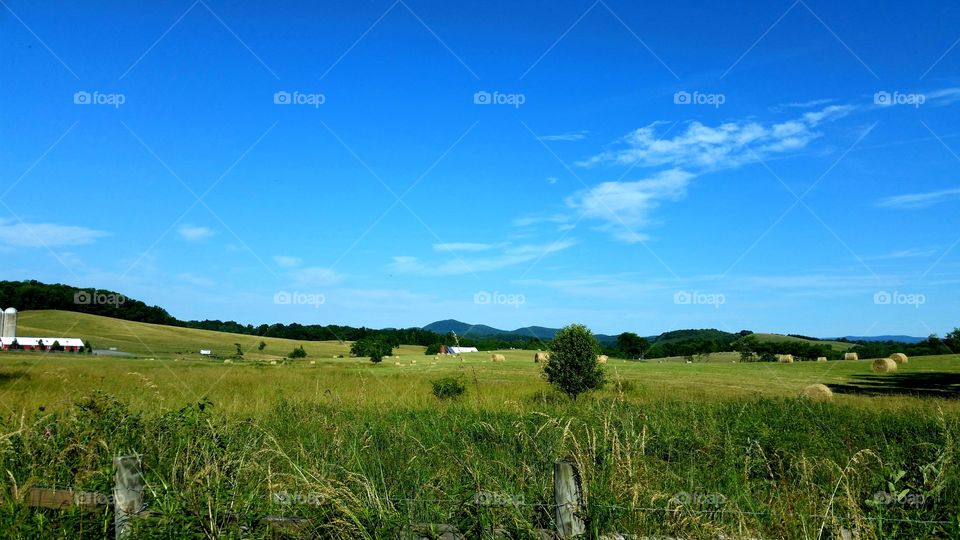 Rural farmlands