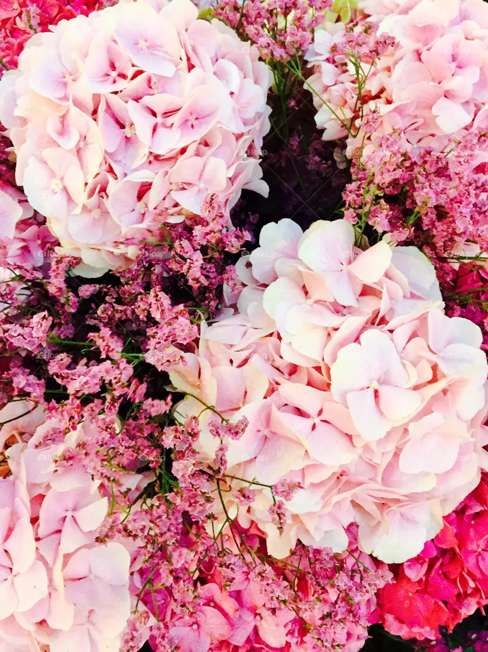 pink & pink