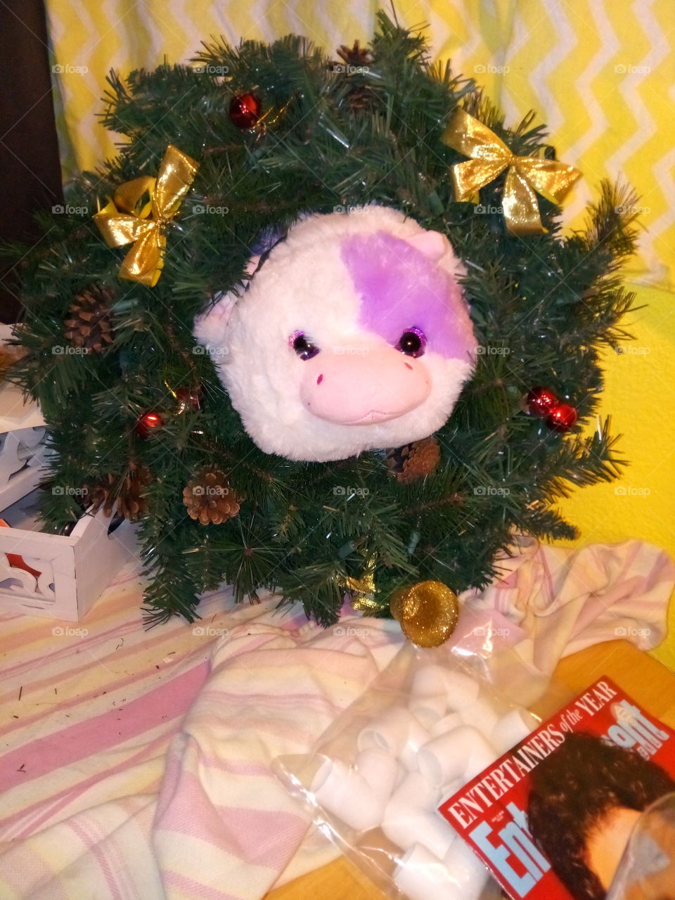 Decorating my stuffed cow for Christmas