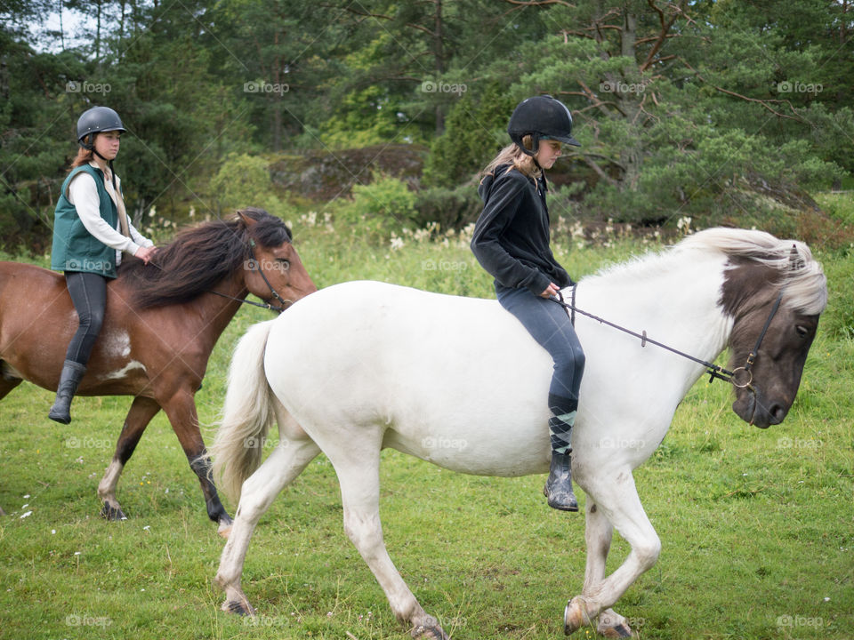 #häst #horse #islandshäst #ryttare #hästtjej #ridning #riding #horsebackriding #barbacka #Lumix Barbackaridning #trav #galopp #skritt #skritta #träns #sommar #sverige #svensksommar #sommarlov #stockholm #sweden #swedishsummer #summer 