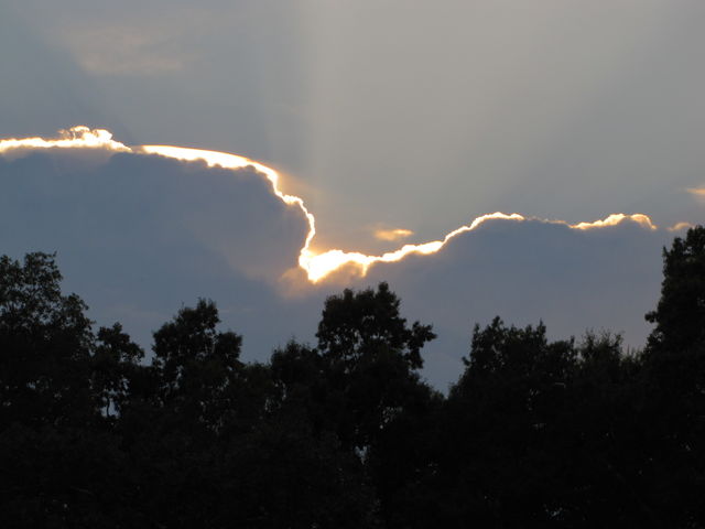 Light After the Storm