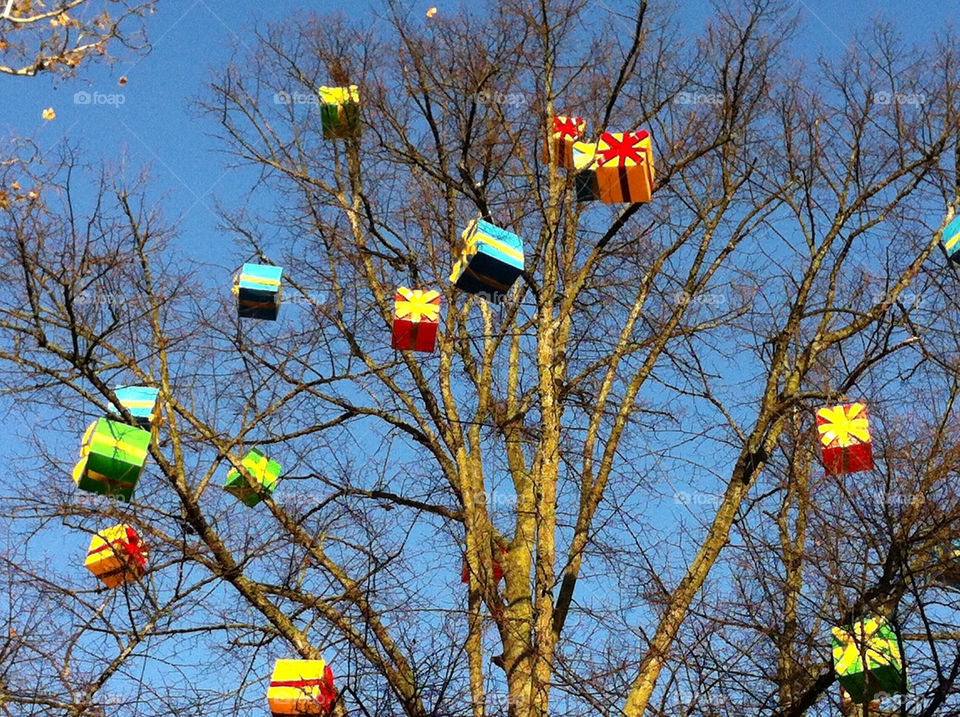 sweden malmö tree träd blue sky by ingrid13