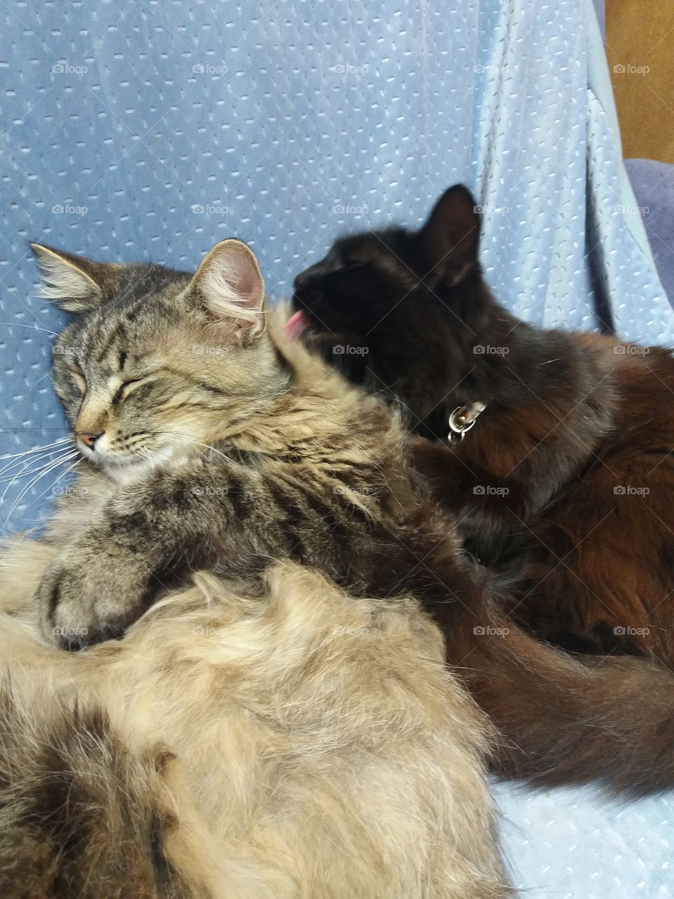 Câlin mère et fils