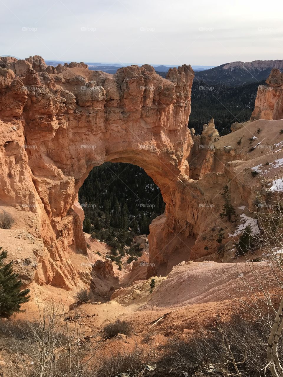 Arch at bryce Canyon usa