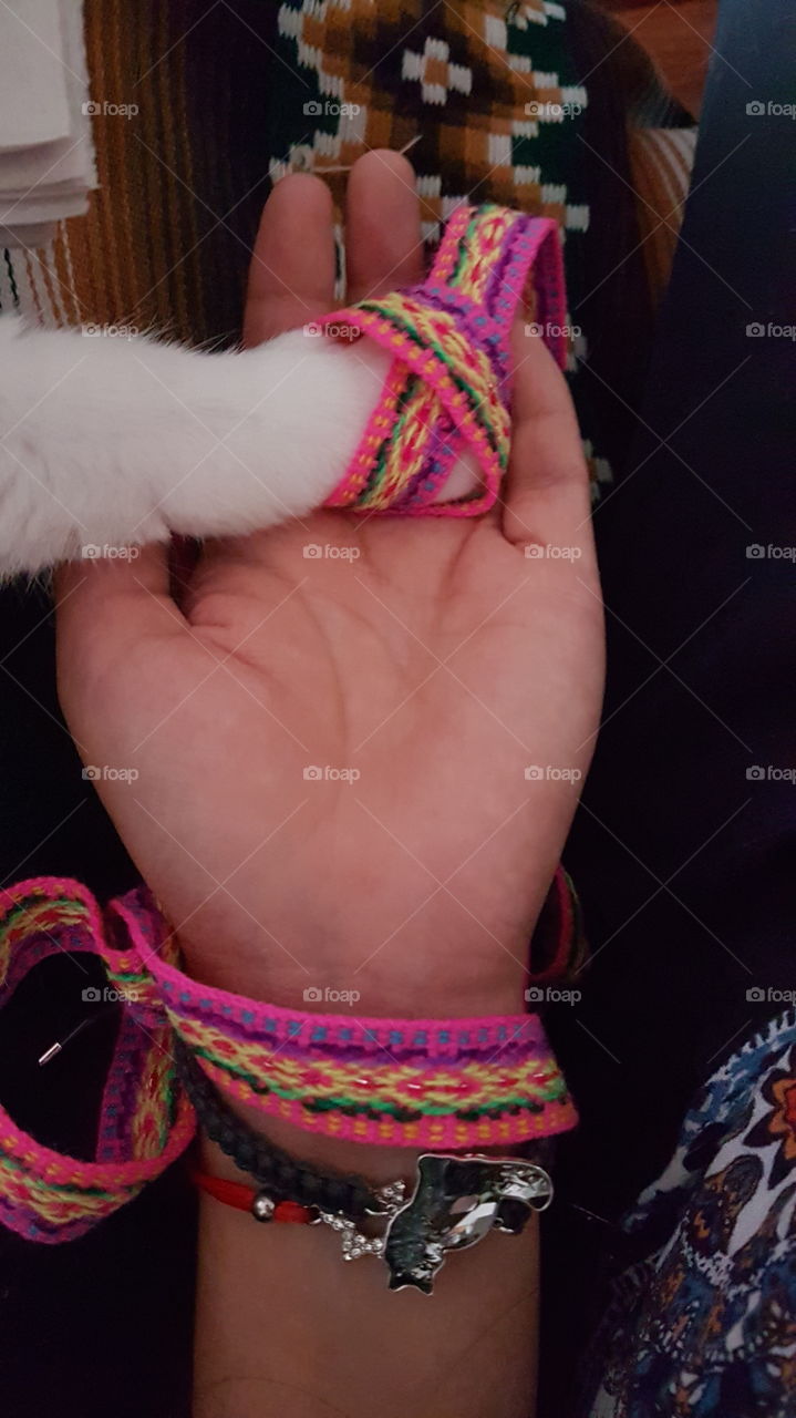 my kitty paw... we are family