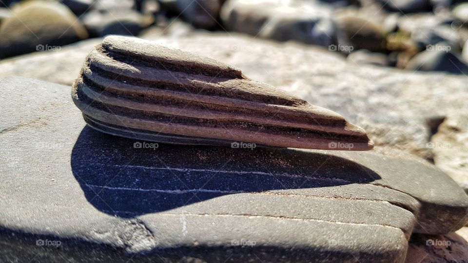 Stone and Wood Strandgut