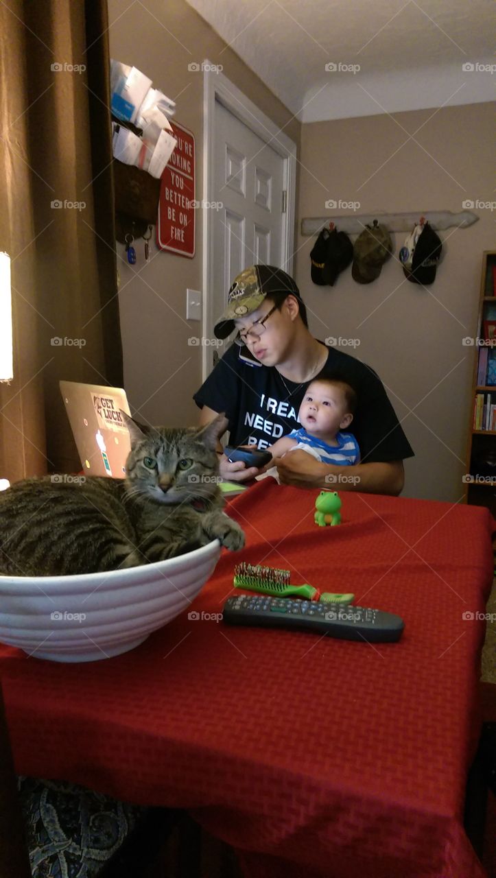 Child, People, Indoors, Room, One