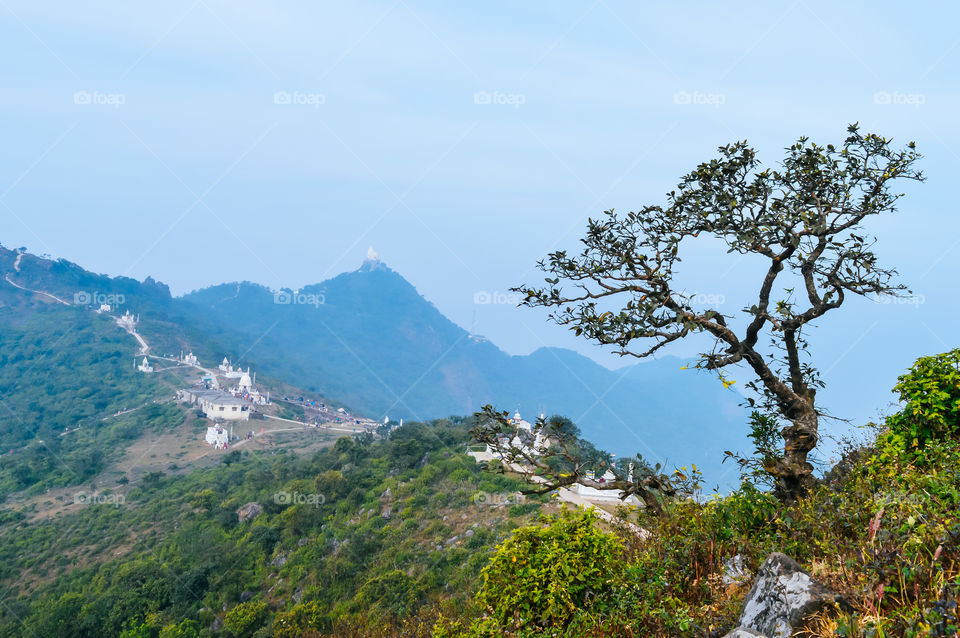 Hillside pine trees and distant mountains. Mountain winter scene with hill trees cloudy blue sky, Green landscape. Outdoor valley background banner concept.