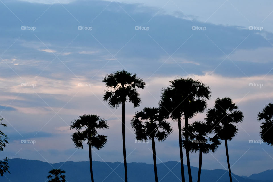 Artistic evening with the beautiful sunset.