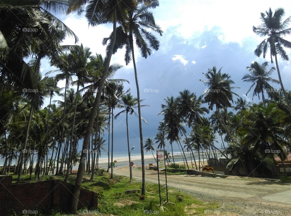 kerala